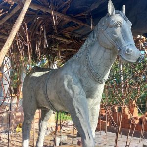 WhatsApp Image 2025-09-30 at 8.03.15 AM